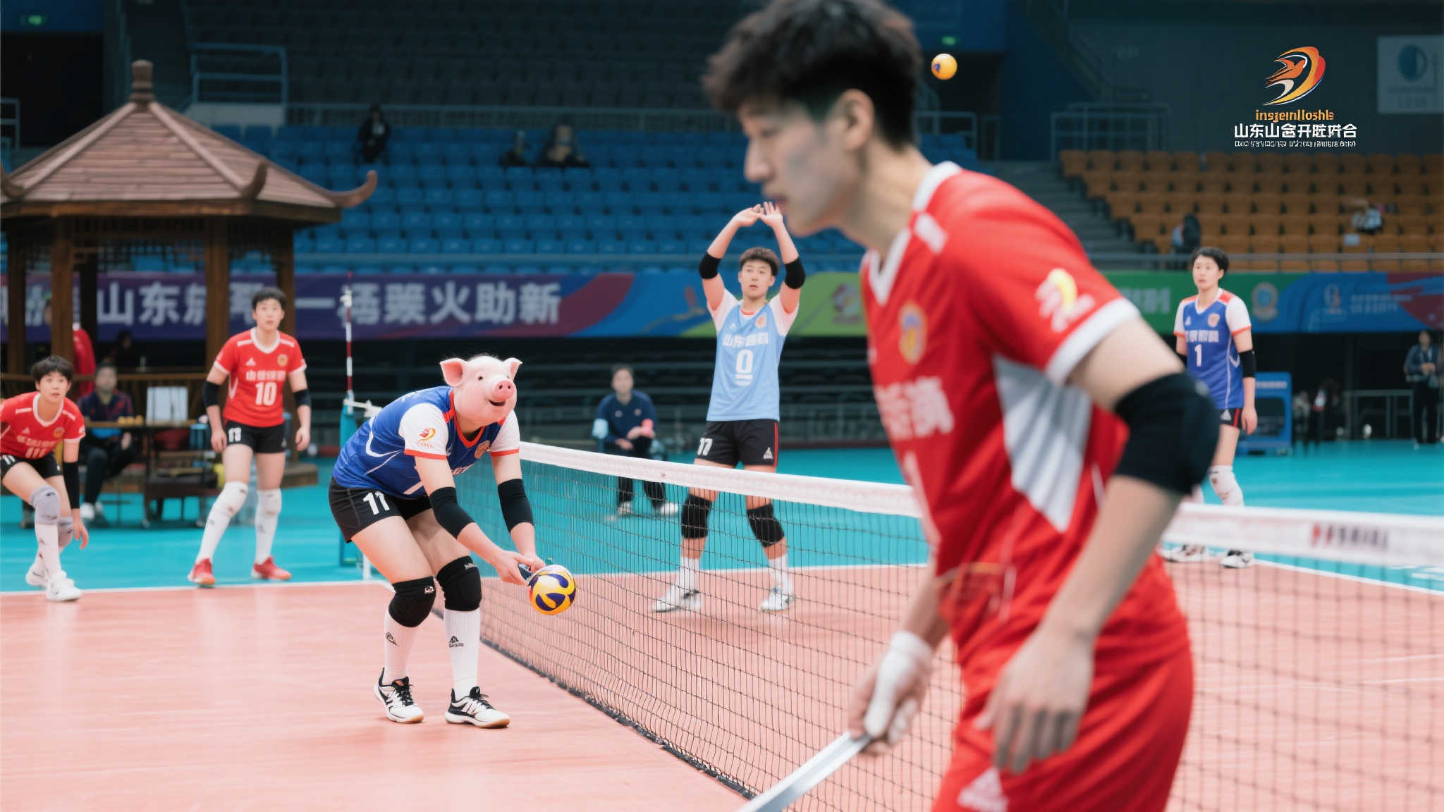 爱游戏-平台介绍