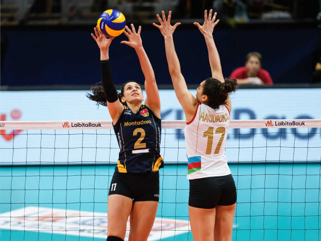 爱游戏-平台介绍